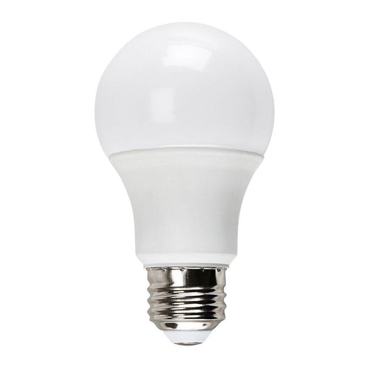 Frosted White Light bulbs